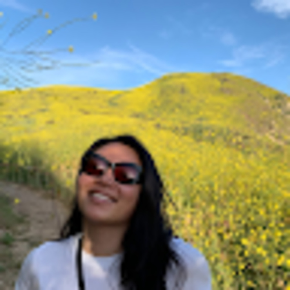 Meet your Posher, Mina